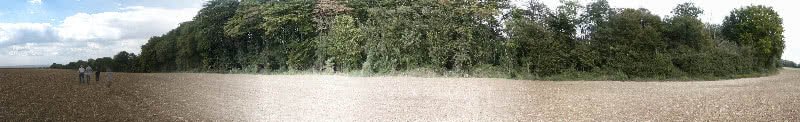Garenne, Bois de Vaubezon